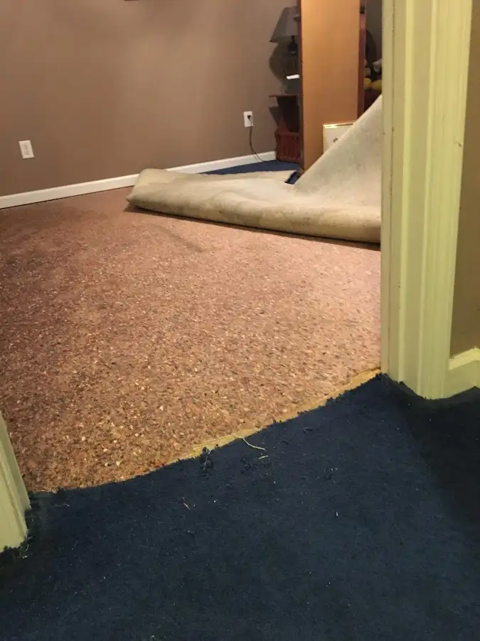 Carpet pad removal revealing water damage during Drying & Dehumidification in Isla Vista
