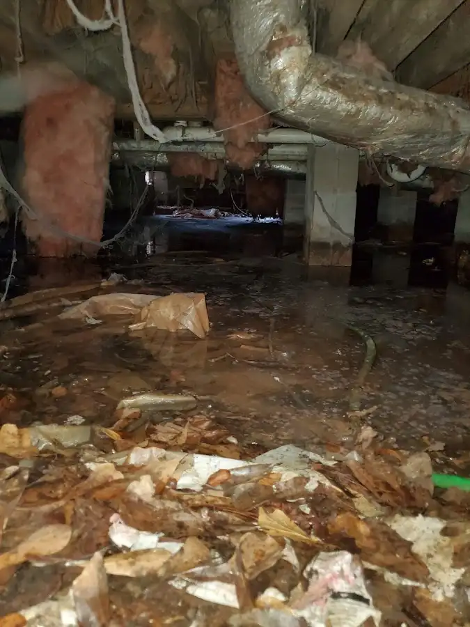 Crawl space flood assessment for Leak Detection & Repair in Isla Vista