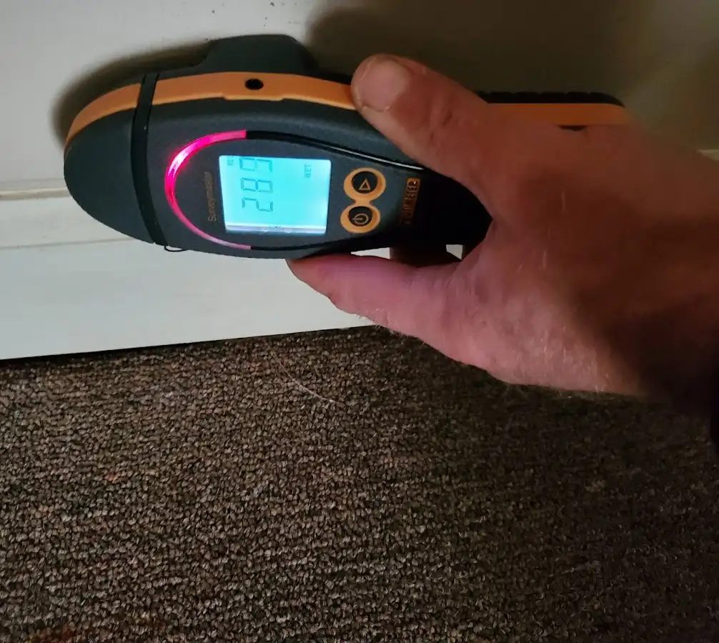 Moisture detection at baseboard during Sewage Cleanup & Sanitation in Isla Vista